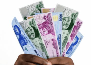 Wealth Accelerator 